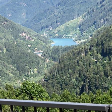 B&B nonna Rosa vista Lagorai Capriana Esterno foto